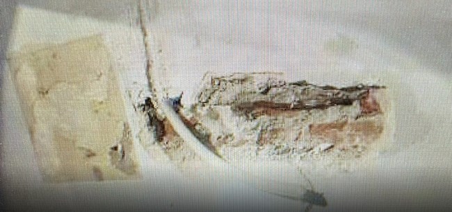 Απίστευτη ανακάλυψη στις φυλακές Κορυδαλλού: Βρεθηκαν πιστόλι και 19 σφαίρες σε κελί