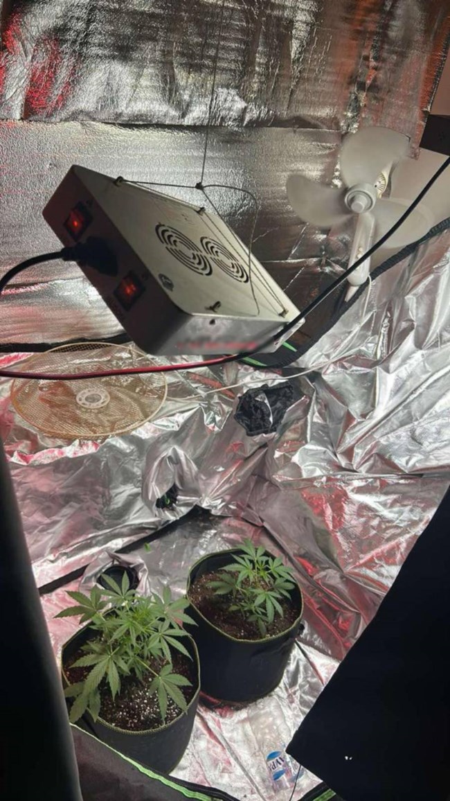 "Χτύπημα" της ΕΛ.ΑΣ σε κύκλωμα καλλιέργειας ναρκωτικών στη Ρόδο: Εντοπίστηκε πλήρες εργαστήριο υδροπονικής κάνναβης