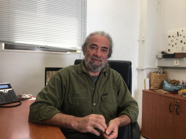 Κρητικός αγριόγατος: Σπάνιο "κλικ" του επιβλητικού αιλουροειδούς - Άγριο και σαρκοφάγο [εικόνες]