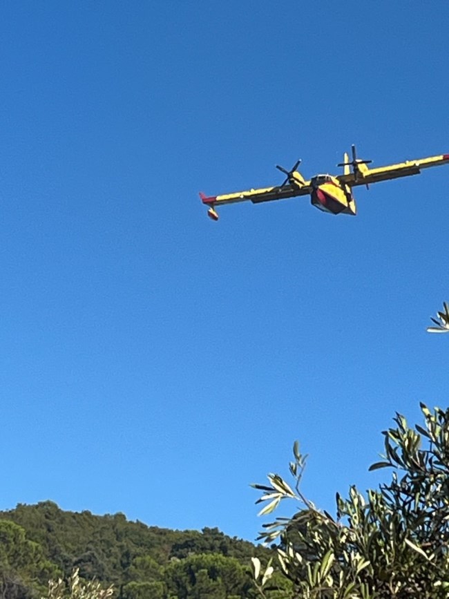 Φωτιά Πήλιο