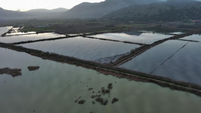 "Φούσκωσε" ο Λούρος από τις βροχοπτώσεις: Καλλιέργειες "βυθίστηκαν" στο νερό, ο κάμπος έχει μετατραπεί σε λίμνη