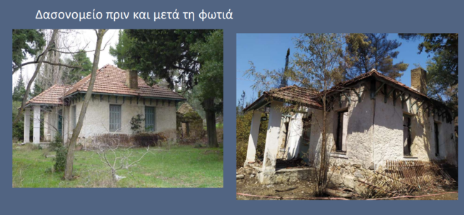 tatoi