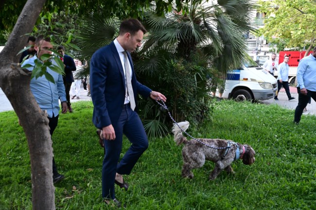 Κασσελάκης Φάρλι