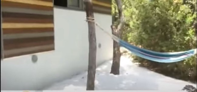 ΝΑΤΑΛΙΑ ΔΡΑΓΟΥΜΗ