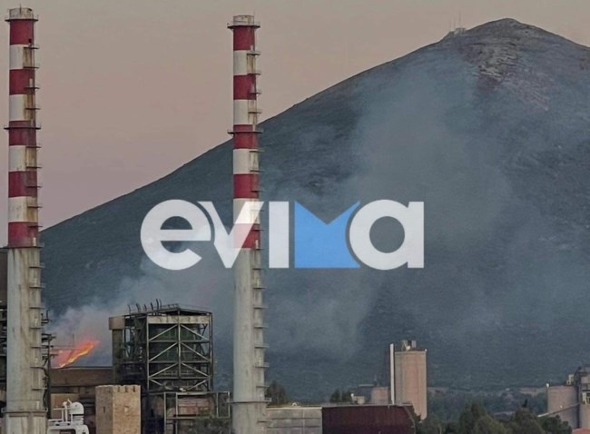 Φωτιά στην Εύβοια