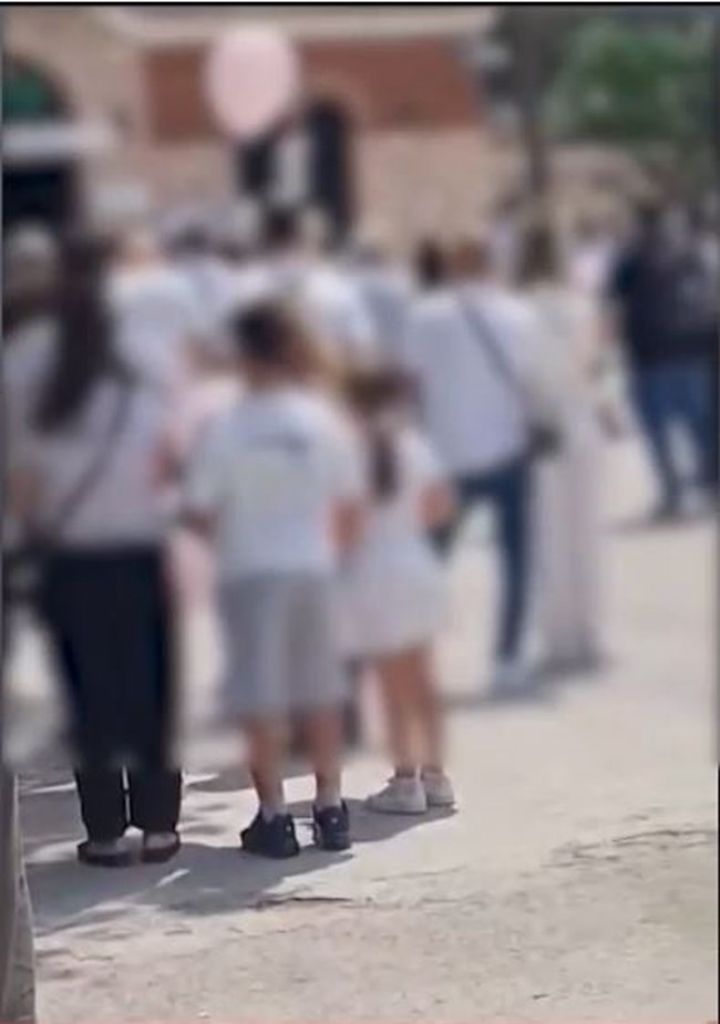 ΚΗΔΕΙΑ 7ΧΡΟΝΗΣ