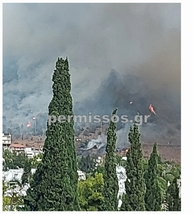 Φωτιά στο Δίστομο