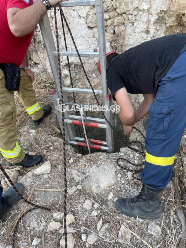 Χανιά: Μεγάλη κινητοποίηση για κατσικάκι που είχε πέσει σε στέρνα 7 μέτρων  [εικόνες]