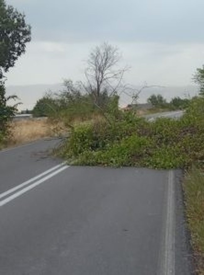 ΚΟΖΑΝΗ ΙΣΧΥΡΟΙ ΑΝΕΜΟΙ