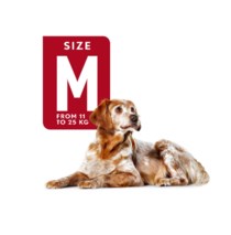 ROYAL CANIN