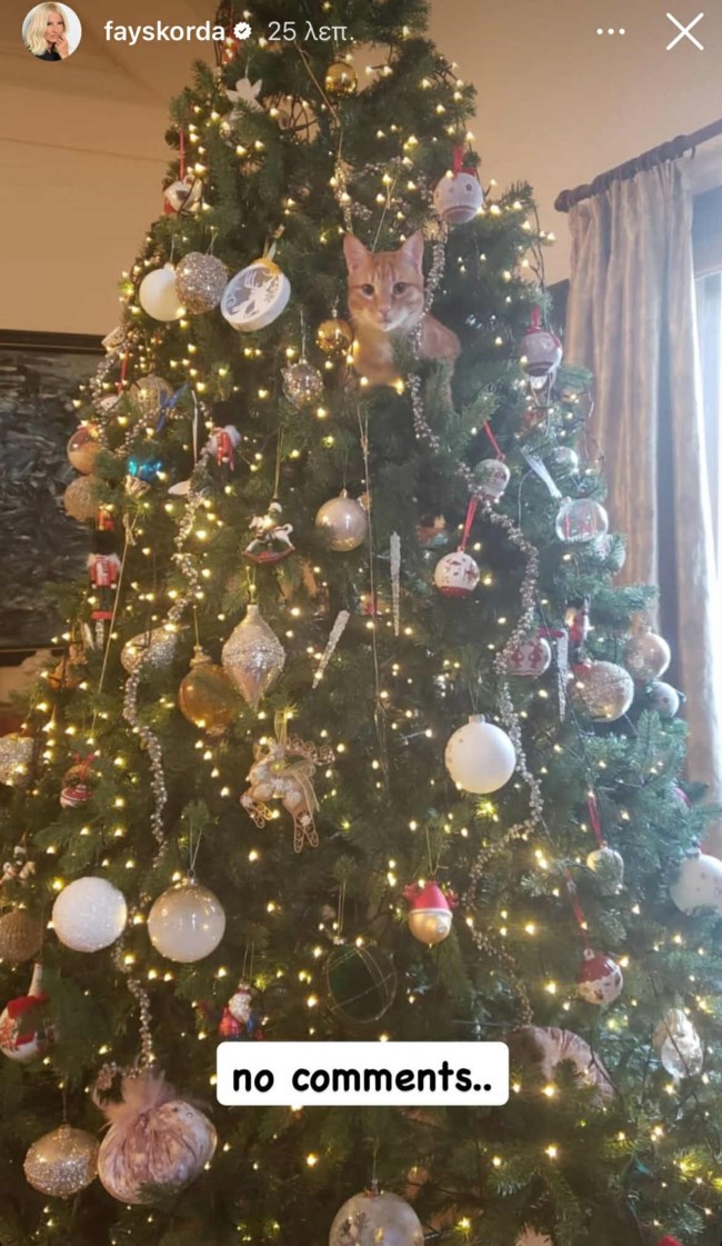 Φαίη Σκορδά: Απαθανατίζει την έκπληξη που συνάντησε στο σπίτι της - "Κανένα σχόλιο"