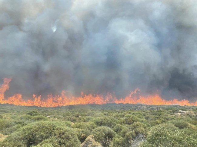 Φωτιές: Μάχη δίνουν οι πυροσβέστες με τις φλόγες στην Άνδρο - Αναζωπυρώσεις σε Έβρο, Βοιωτία, Πάρνηθα