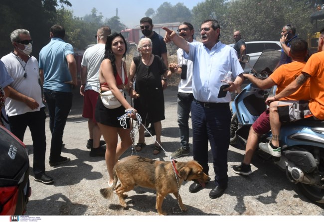 ΠΕΛΕΤΙΔΗΣ ΦΩΤΙΑ
