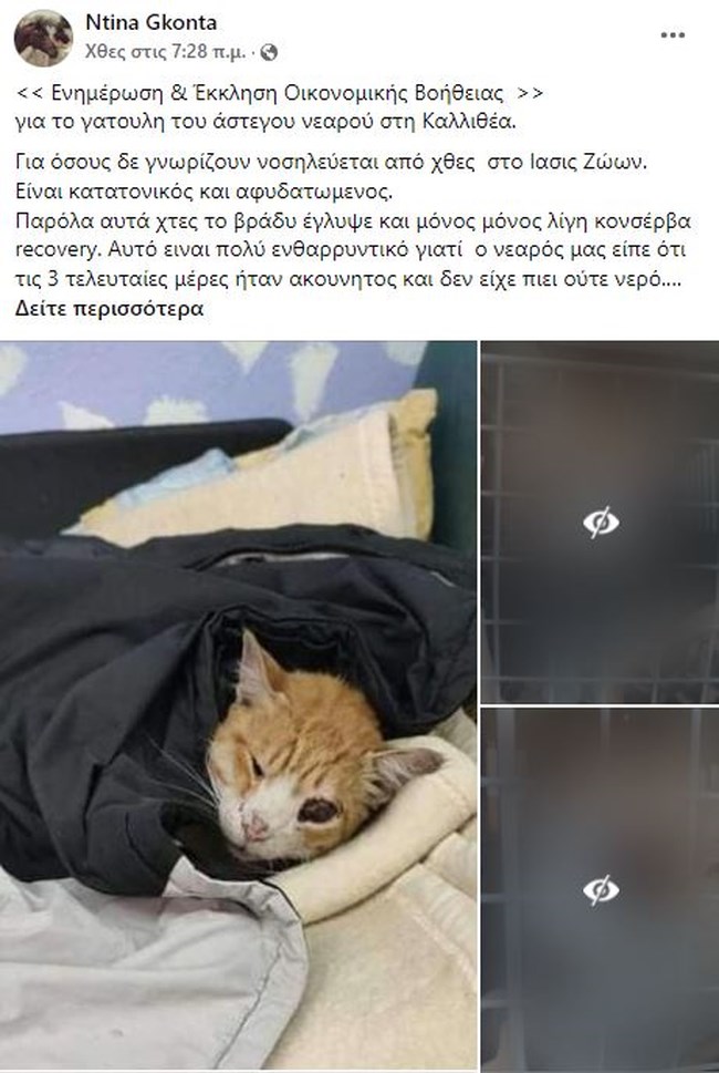 γατος