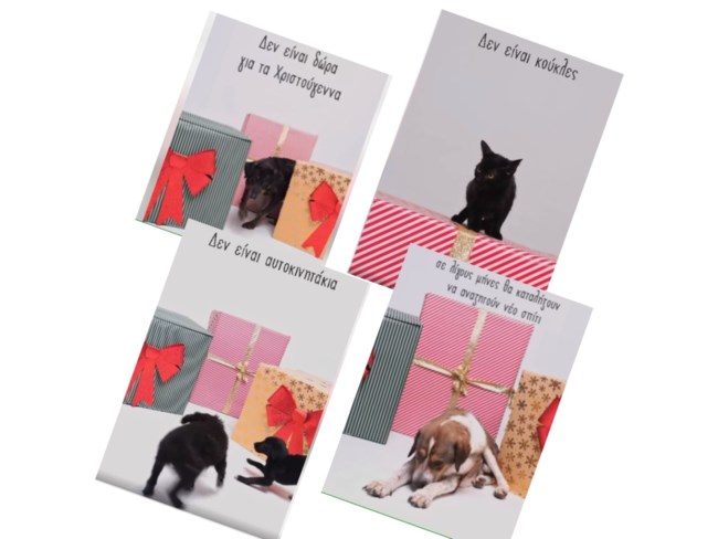 Συγκλονιστικό βίντεο του "A little Shelter - Athens": Τα ζώα δεν είναι δώρα για τις γιορτές