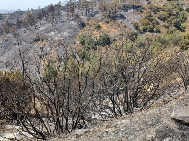 Κύπρος φωτιά