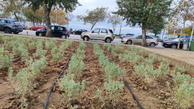 παρτερια θεσσαλονικη