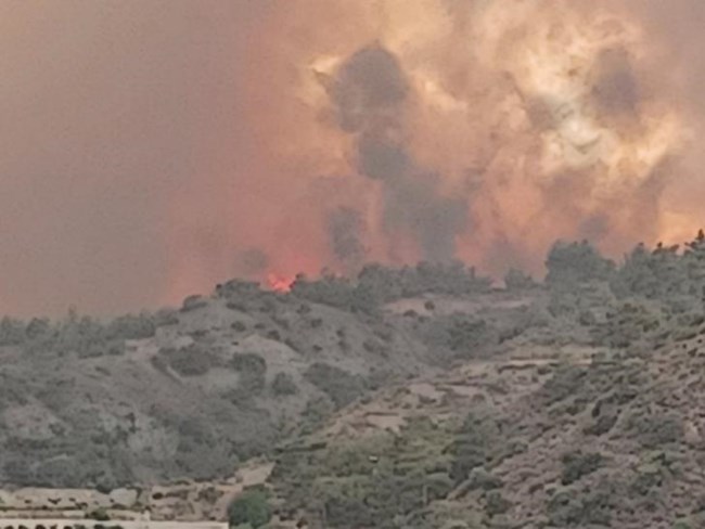 Κύπρος φωτιά