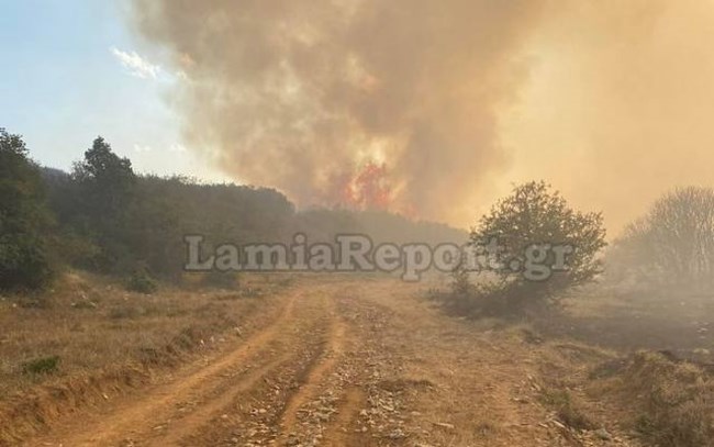 λαγγιτσι