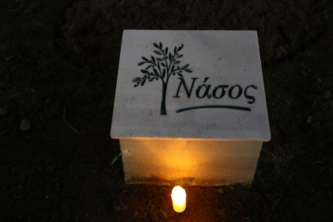 Νάσος, πορεία Άλκη Καμπανού