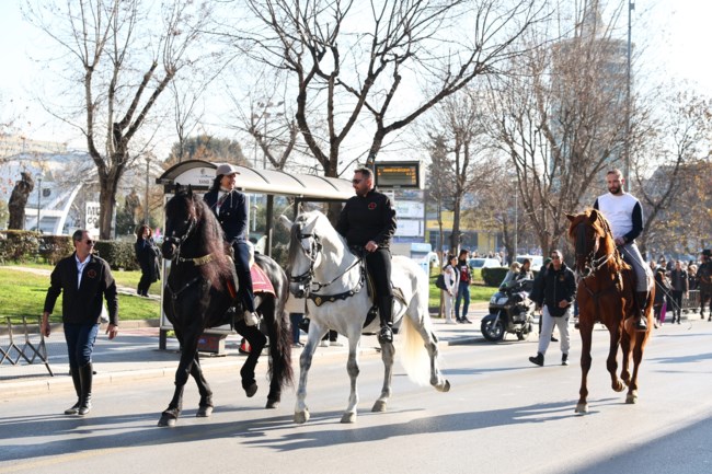 αλογα
