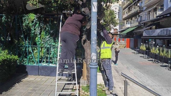 ΛΑΜΙΑ ΠΑΡΚΑΡΙΣΜΑ