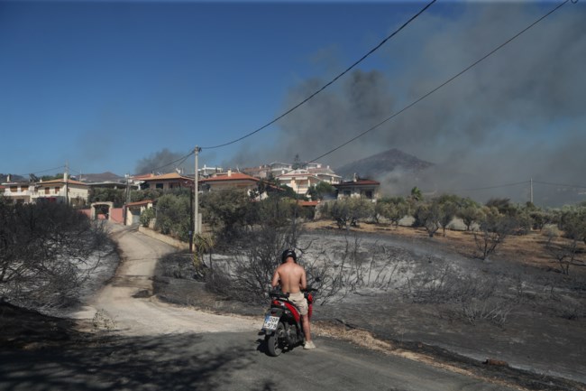 Παλαιά Φώκαια: Προανάκριση για τα αίτια της φωτιάς - Ανοικτό το ενδεχόμενο να προκλήθηκε από καλώδιο του ΔΕΔΔΗΕ