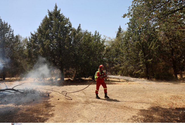 ΦΩΤΙΑ ΖΩΓΡΑΦΟΥ