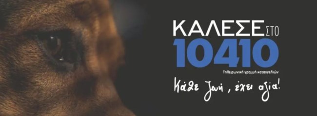 10410: Η γραμμή καταγγελιών για την κακοποίηση ζώων από την ΕΛΑΣ