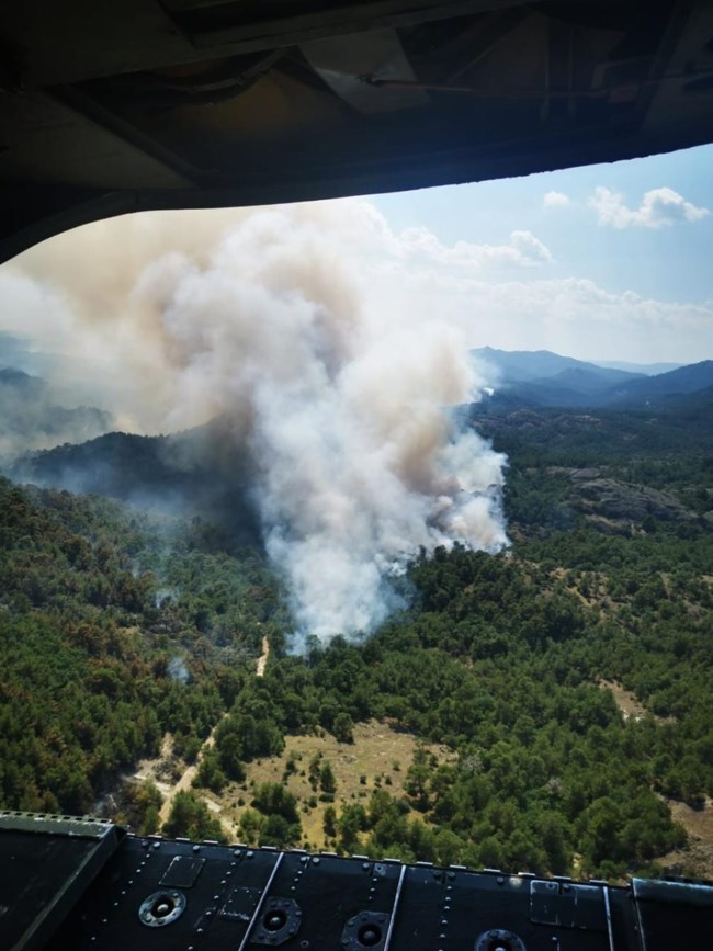 Φωτιά στο δάσος της Δαδιάς