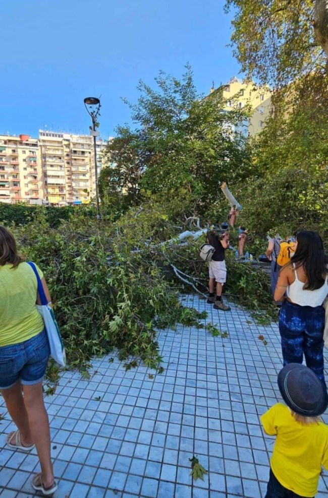 ΔΕΝΤΡΟ ΘΕΣΣΑΛΟΝΙΚΗ