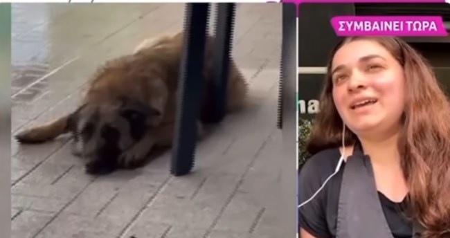 σκυλος