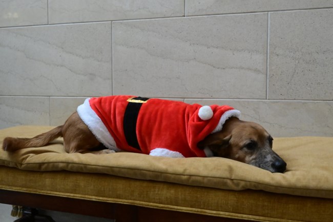 ΜΗΤΣΟΤΑΚΗΣ ΚΑΛΑΝΤΑ ΜΑΞΙΜΟΥ