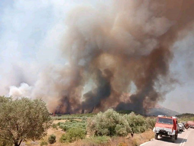 ΦΩΤΙΑ ΡΟΔΟΣ