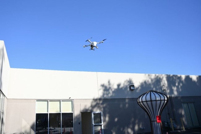 Δενδιας Καλιφόρνια3