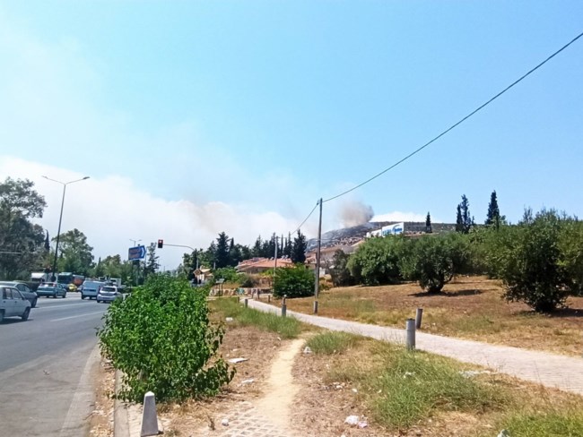 Διπλή φωτιά στο Δαφνί: Συναγερμός γιατί η περιοχή έχει πολλούς πυλώνες της ΔΕΗ [εικόνες]