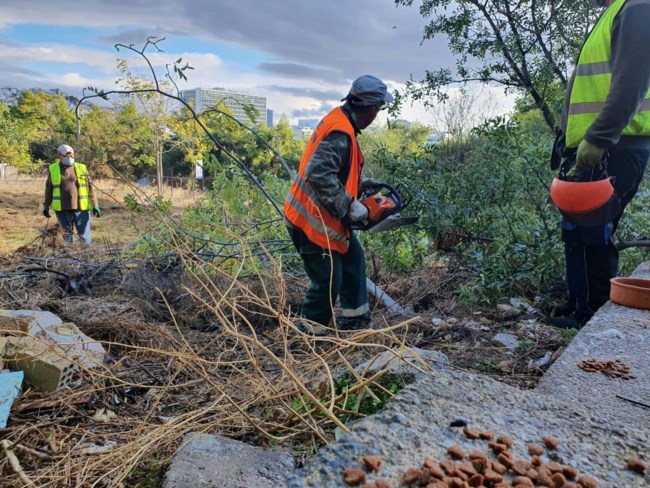 Εξι στρέμματα ελεύθερου χώρου στα "Κουντουριώτικα" των Αμπελοκήπων αποδίδονται στο κοινό [εικόνες]