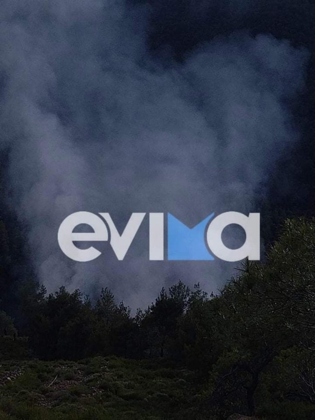 Μεγάλη φωτιά στην Εύβοια: Καίγεται δάσος κοντά στο Μαντούδι [εικόνες]