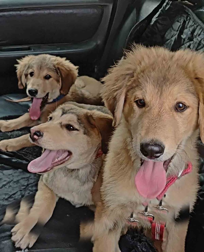 Ο Μάιλο είναι ο μόνος τρόπος να σταματήσετε να τρώτε βράδυ