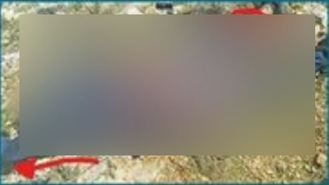 Δεν είναι fake η φωτογραφία με τη σορό του Καλογήρου: "Έτσι βρέθηκε"- Πανηγυρίζει ο Κουσουλός, "με τις υγείες σας"