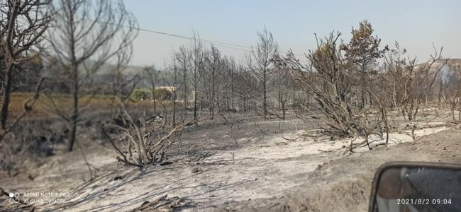 ροδος καμμενη εκταση 2