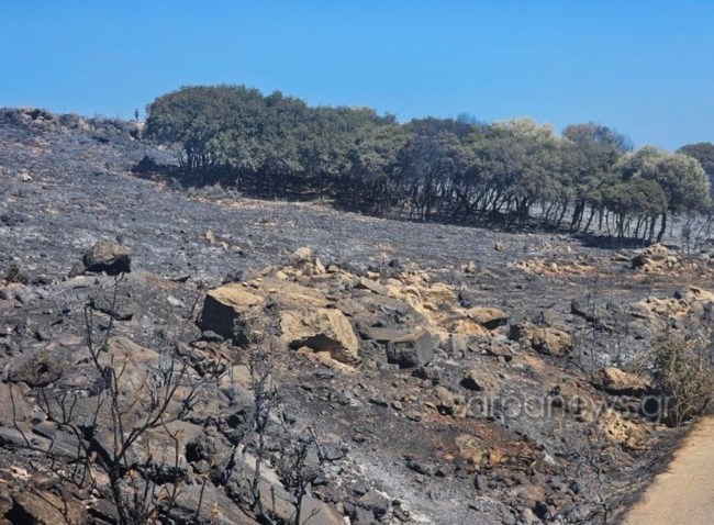 χανια φωτια