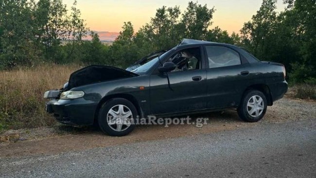 Τροχαίο με αγελάδα στη Φθιώτιδα - Τραυματίστηκε σοβαρά μια γυναίκα [εικόνες]