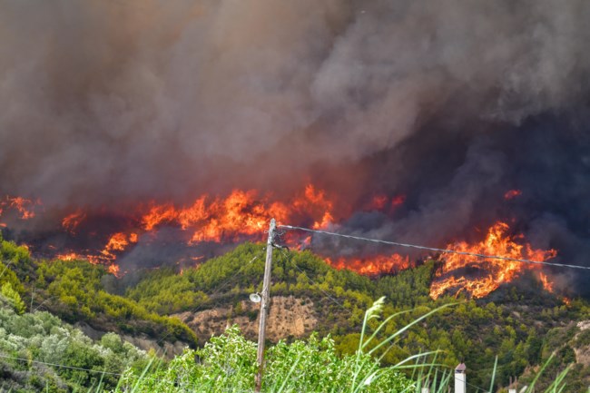 Φωτιά στην Αρχαία Ολυμπία