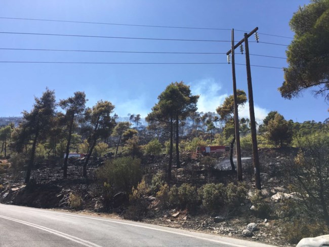 νέα μακρη