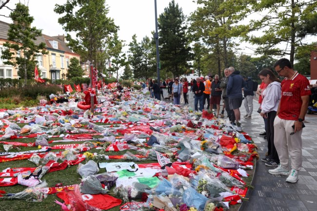 ΖΟΤΑ ΑΝΦΙΛΝΤ