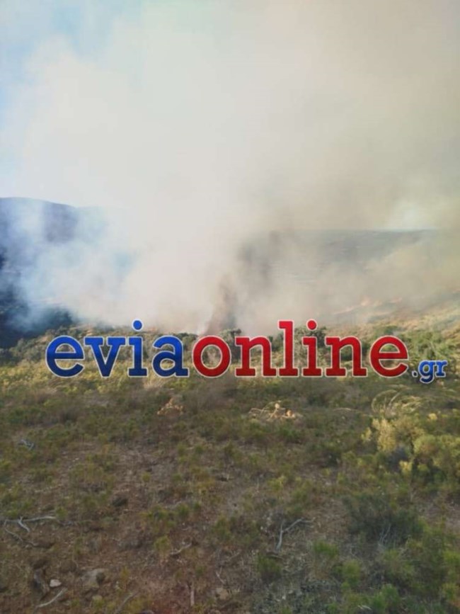 Δύσκολη νύχτα στην Εύβοια: Μαίνεται η φωτιά στα Μεσοχώρια - Εκκενώθηκε ο οικισμός Τσακαίοι [εικόνες - βίντεο]