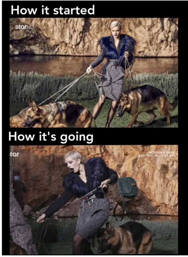 gntm