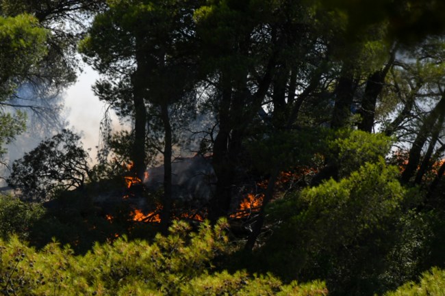 Φωτιά στην Πάτρα