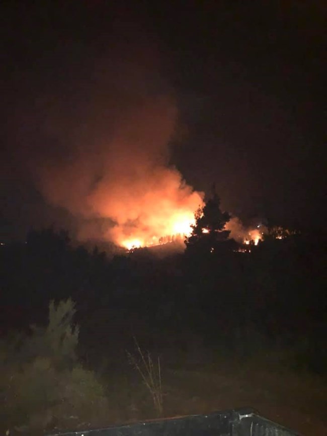 Χαλκιδική: Μεγάλη πυρκαγιά σε δάσος στη Σιθωνία - Συναγερμός στην πυροσβεστική [εικόνες]